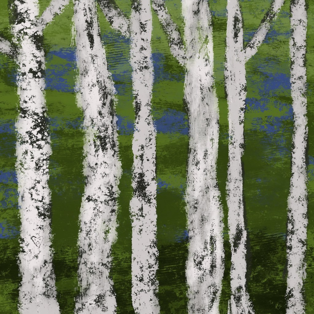 Birch Trees by Sheri42