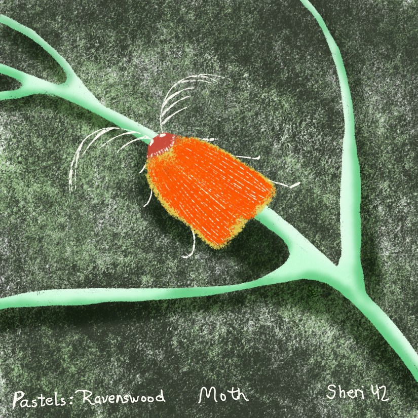 Moth on a leaf using Procreate pastel Ravenswood; by Sheri42